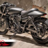 Harley Davidson Street sprocket guard (X Type)