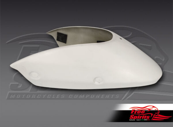 Harley Davidson Street fiberglass tail