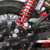 Belt guard for Triumph Classic