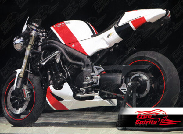 Frame protection for Triumph Speed Triple 97-10