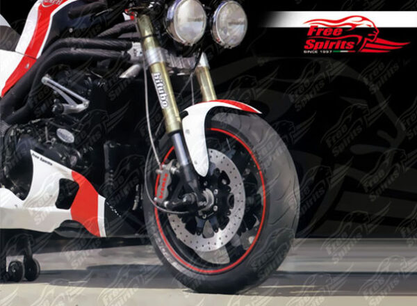 Axle Protector / Sliders front for Triumph Speed Triple 05-10