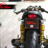 Undertray & license plate (Lucas E11) for Triumph Thruxton 1200 & Speed Twin
