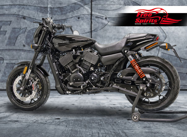 Harley Davidson Street sprocket fat cover