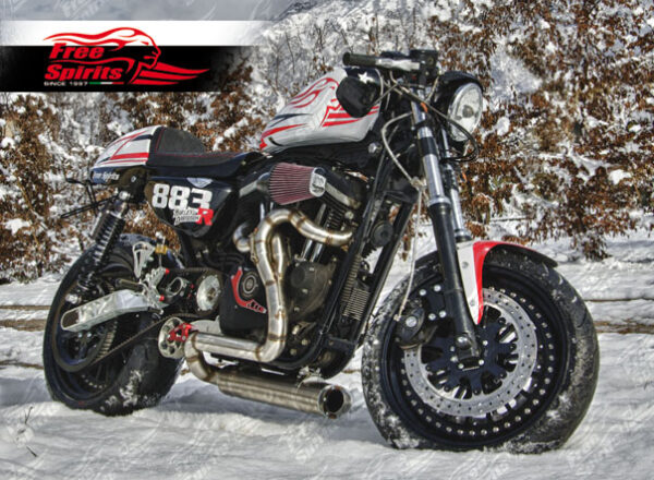 Harley Davidson Sportster Cafè racer Triple Yokes