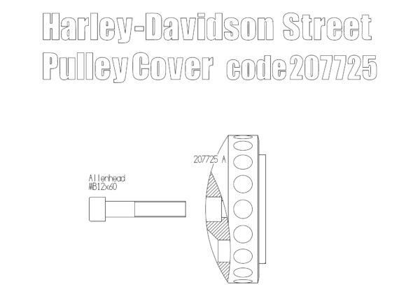 Harley Davidson Street sprocket fat cover