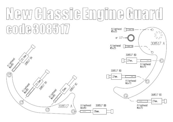 Triumph New Classic engine protection