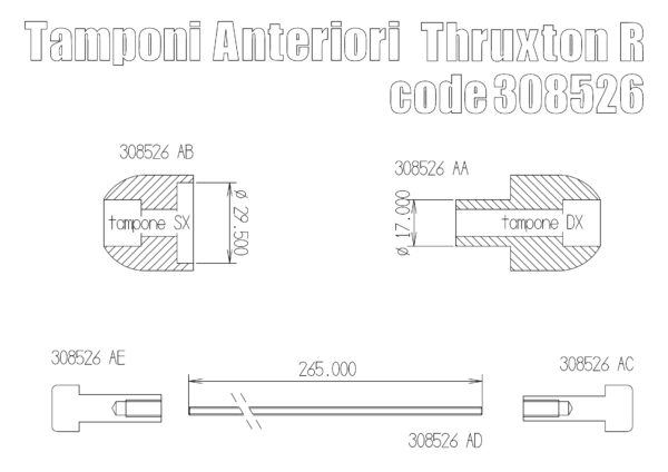 Triumph Thruxton R Front Axle Protector/Sliders