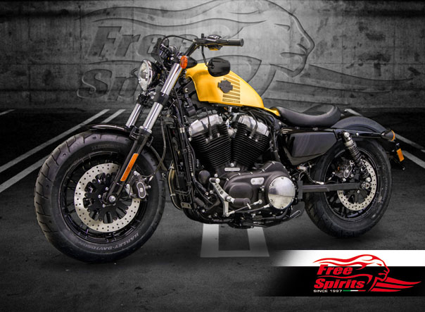 Harley Davidson Sportster 2014 up – Brake rotor kit (320 mm) & padsCode ...