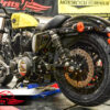 Brake rotors kit (300 mm) rear for Harley Davidson Sportster 2014 up
