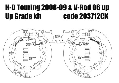 Harley Davidson Touring 2008-09 & V-Rod 06-10 - Brake rotors kit (320 mm) - KIT