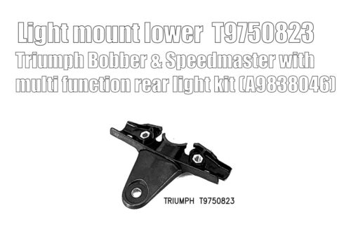 Light mount lower (short) for Triumph kit A9838046