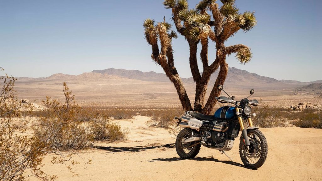 triumph scrambler 1200